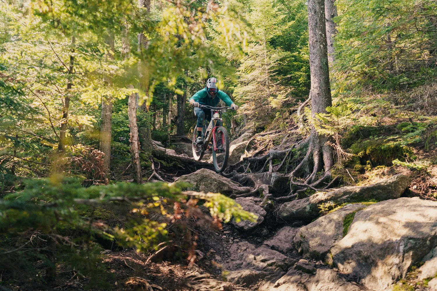 Mountain biker riding down a rocky, root-covered trail through forest