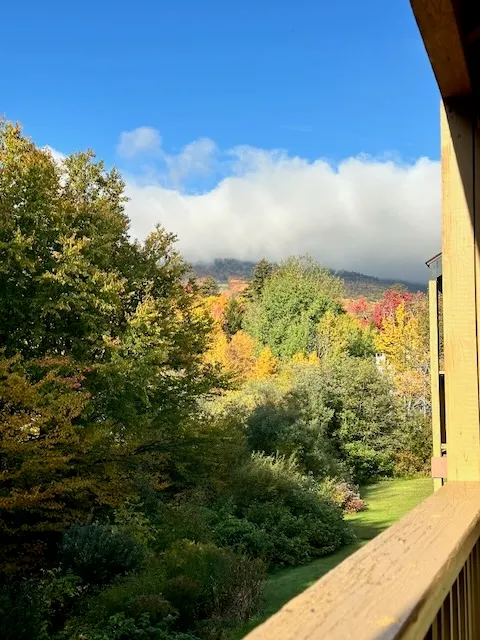 View from the Trail Creek 74 balcony on an autumn morning, with colorful foliage on the hillside and clouds above