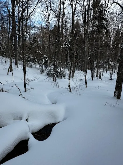 Deep snow and a small open stream in a wooded Vermont forest in January