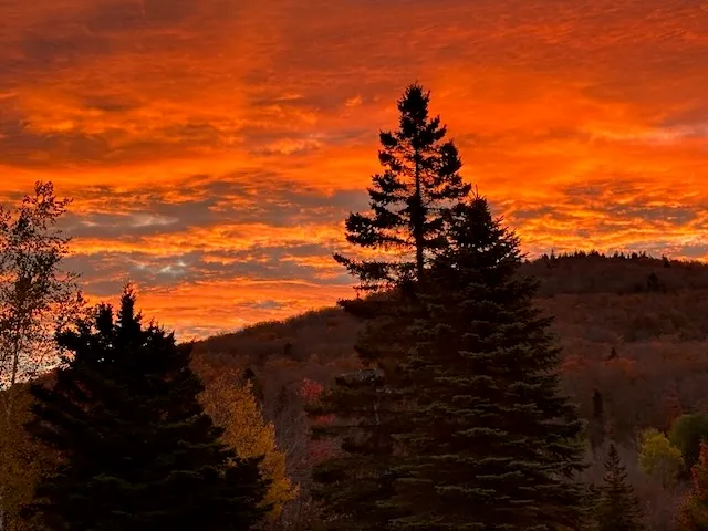 Fiery orange autumn sunset sky behind silhouetted evergreens and a foliage-covered hillside