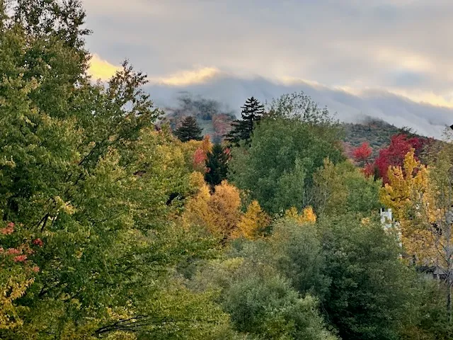 Hillside of red, orange and yellow maples above a green lawn