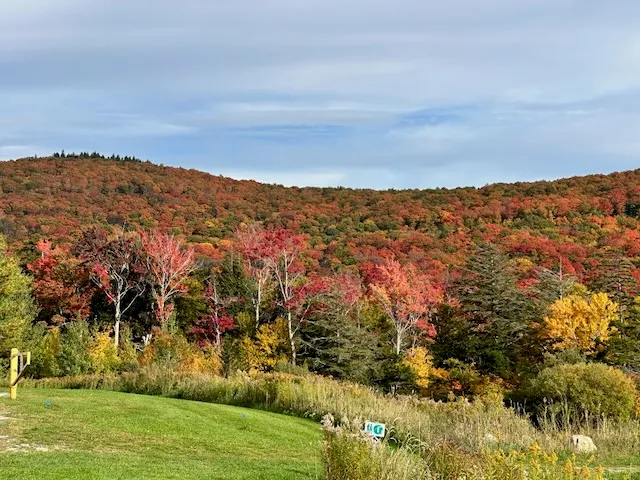 Autumn foliage on the hillside above the Trail Creek grounds along the Loop ‘I’ route
